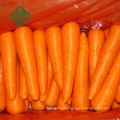 Best Selling Products china carrot 2 kg vegetables carrot